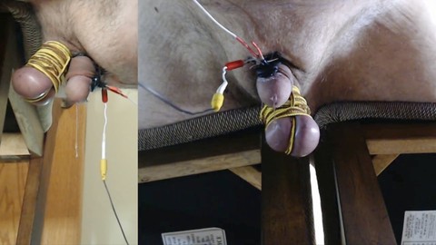 Une stimulation érotique électrique entraîne une quantité massive de pré-sperme et un intense orgasme d'ours!