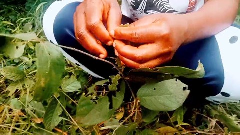 中出しマンコ, hd動画, 下着 中出しマンコ, hd動画, 下着